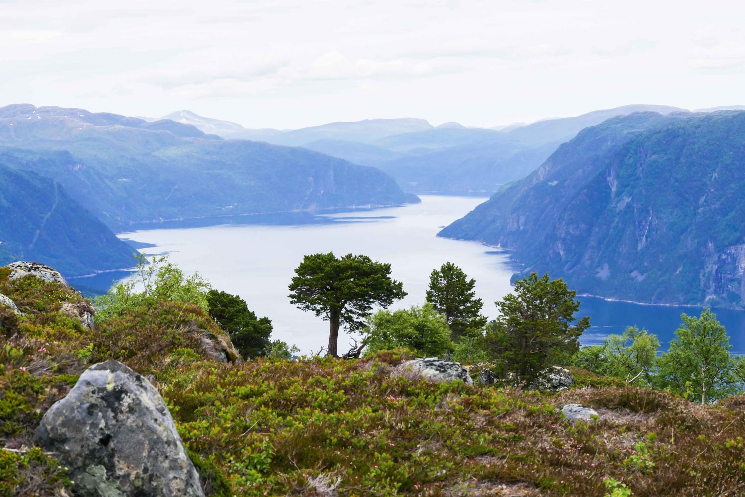 Randonnée Norvège - Fjords