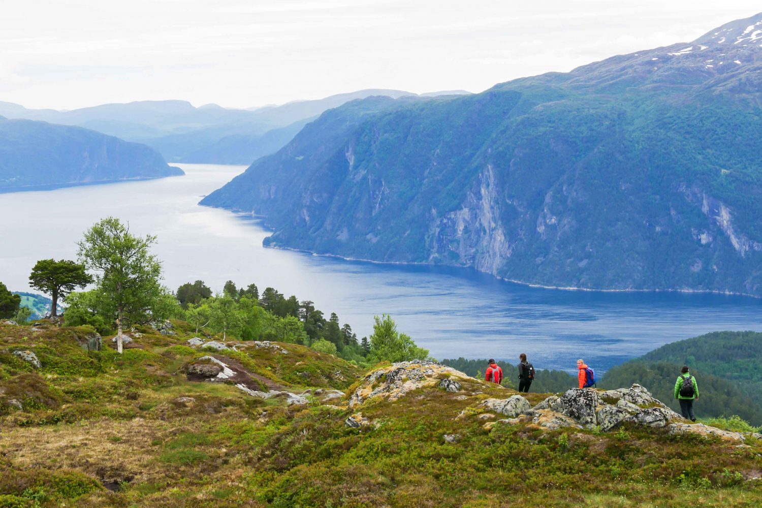 Randonnée Norvège - Fjords